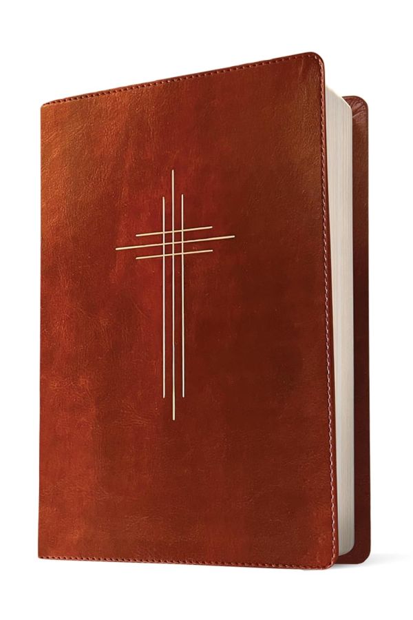 The Message Deluxe Gift Bible, Dark Brown Gold - Image 2