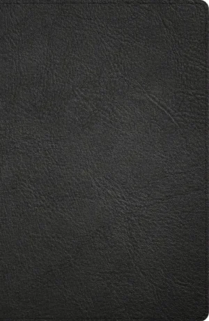 CSB Large Print Personal Size Reference Bible, Digital Study Edition, Black Genuine Leather, Indexed