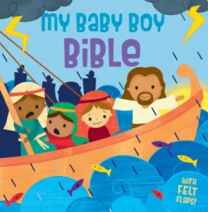 My Baby Boy Bible