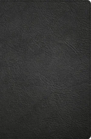CSB Large Print Personal Size Reference Bible, Digital Study Edition, Black Genuine Leather