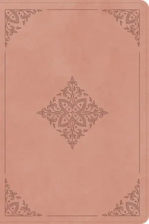 ESV Holy Bible: Dyslexia-Friendly Edition, Blush Rose