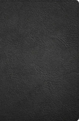 CSB Large Print Personal Size Reference Bible, Digital Study Edition, Black Genuine Leather