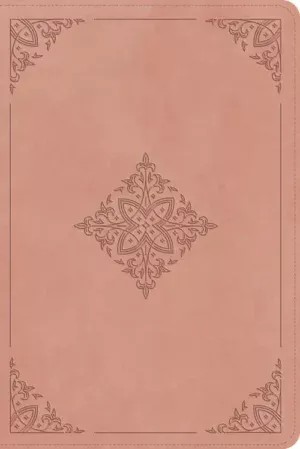 ESV Holy Bible: Dyslexia-Friendly Edition, Blush Rose