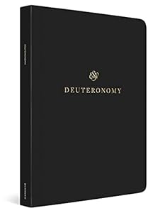 Deuteronomy ESV Scripture Jounal
