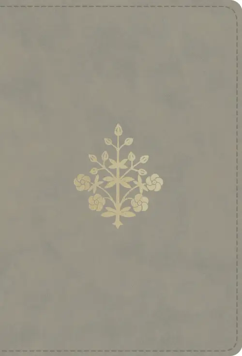 ESV Compact Bible, Stone Branch