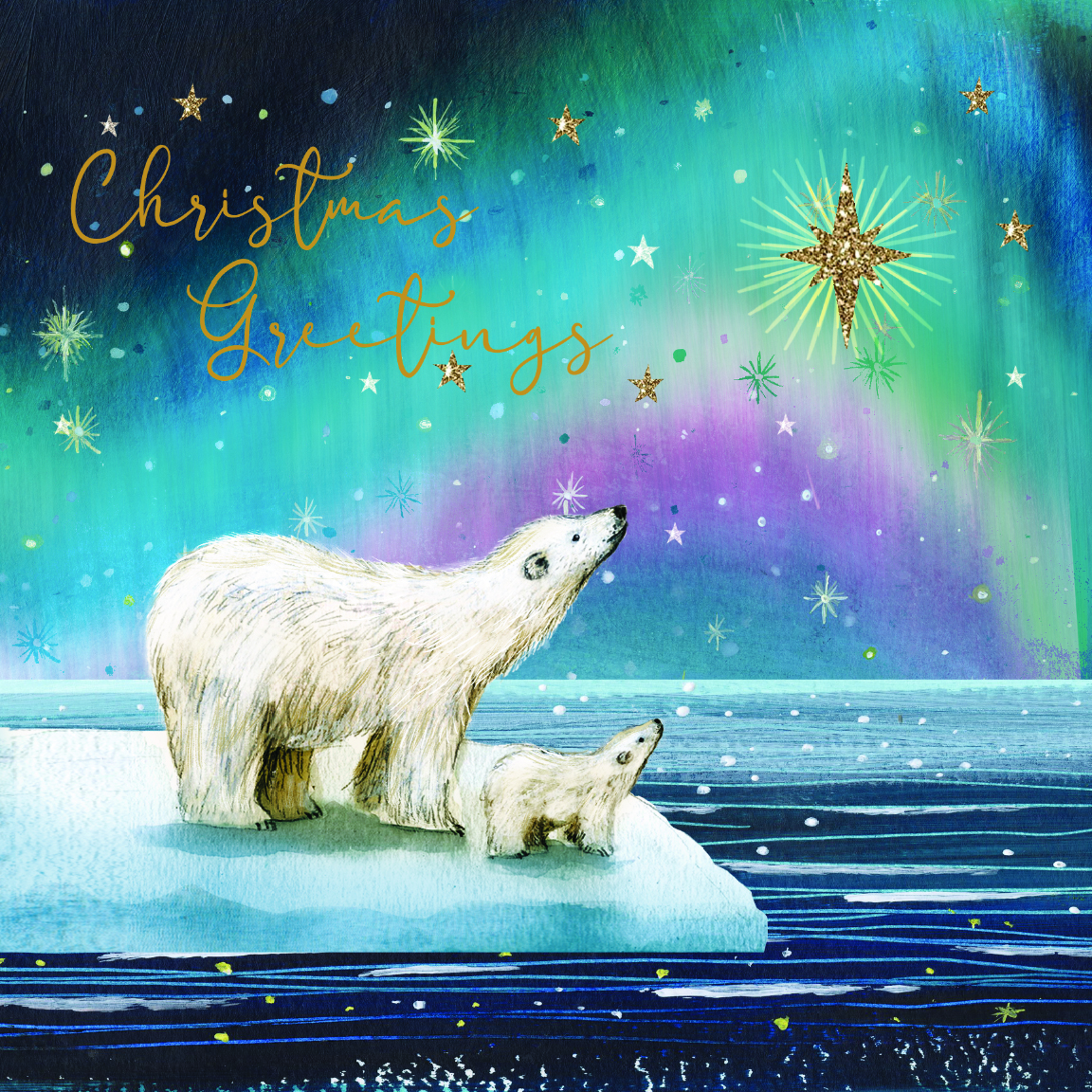 Polar Bears Christmas Cards Uk Foodbanks