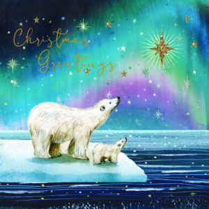 Polar Bears Christmas Cards Uk Foodbanks