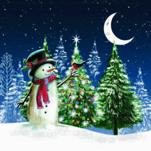 Moonlit Forest Christmas Cards